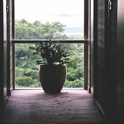 Services slide3 free img